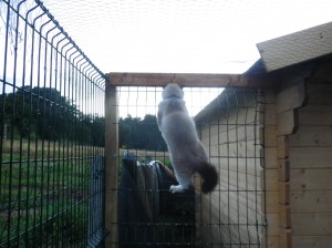 Pas mal le panorama